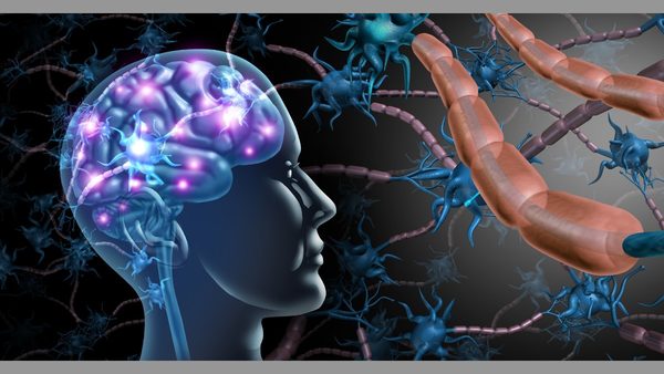 How Gut-Brain Connection Affects Mental Health: Texas Functional MD
