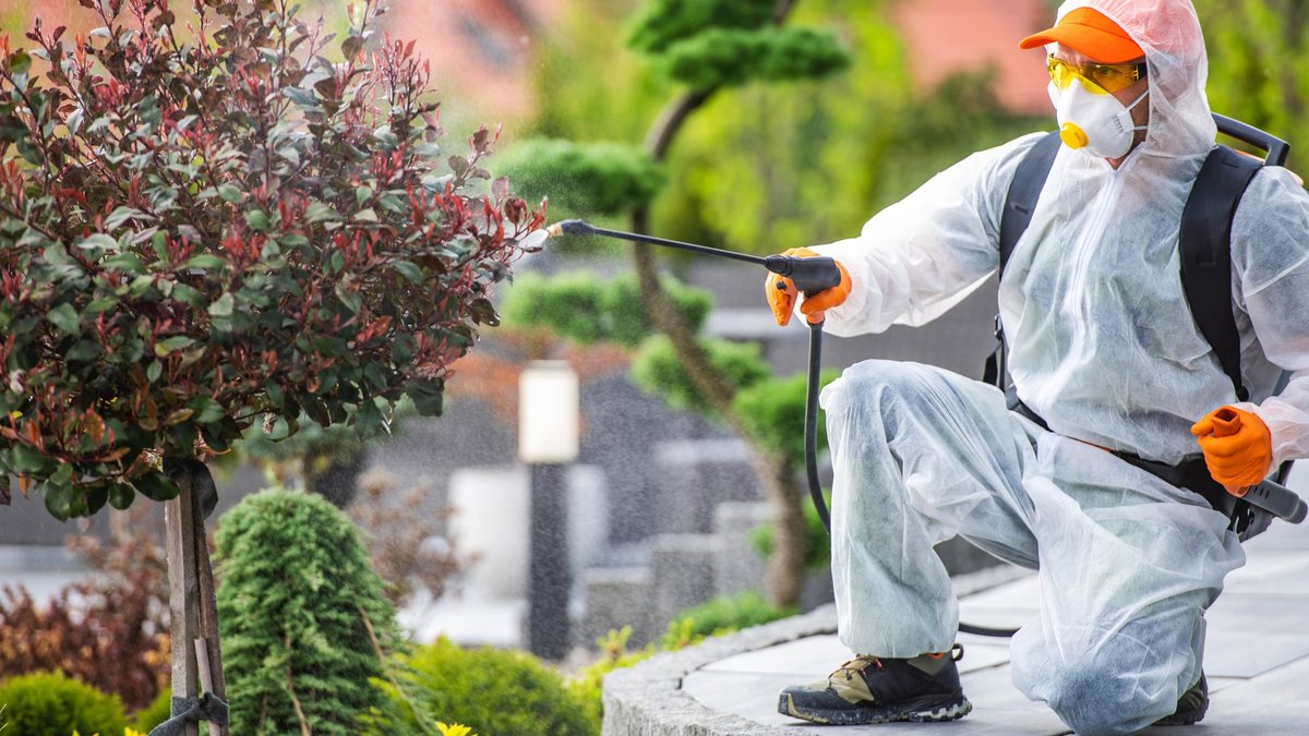 How Much Does Pest Control Cost? VA Experts Explore Factors That Affect Pricing