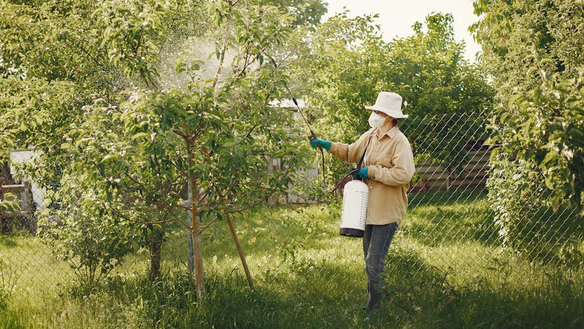 How to Choose a Pest Control Company: Alexandria, VA Specialist Shares Questions