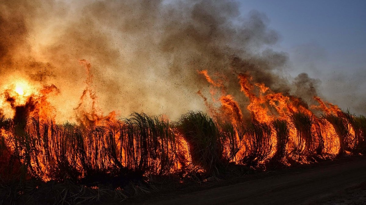 How to Harden Your Home Against Wildfires: A Complete Seasonal Prep Guide
