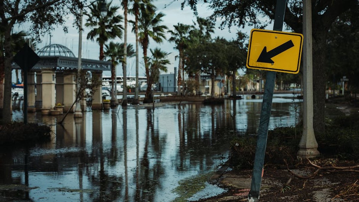 How to Hurricane-Proof a House: Protection Strategies Orlando Homeowners Use