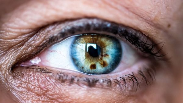 How to Manage Macular Degeneration: New Jersey Experts Weigh In