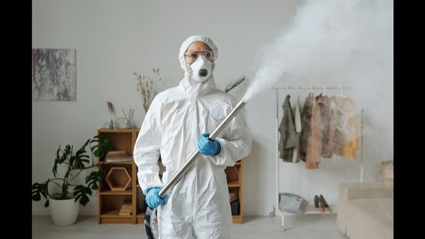 Reston, VA Same-Day Pest Control For Termite Infestations: Services Announced