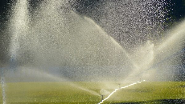 Summer Lawn Care Tips For Texas Homes: Fertilizer, Mowing & Irrigation