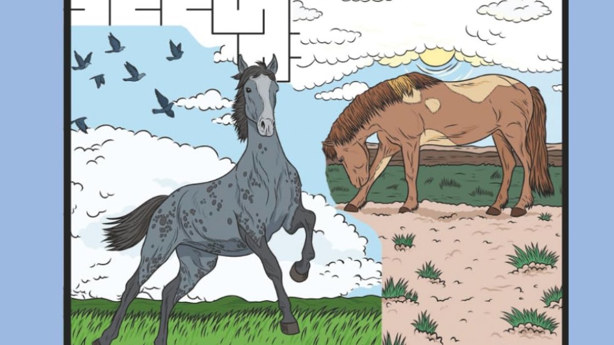 Wild Horses Coloring Activity Book Released, Designed to Inspire Creativity