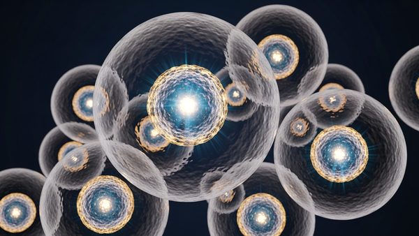 Yeongdeungpo Stem Cell Treatments for Neurodegenerative Conditions Announced