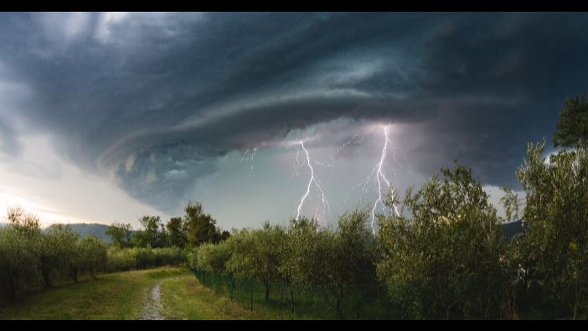 Atlas Techs Launch Rapid Post-Storm Pest Response for Edmond Homeowners