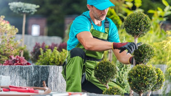 Brooklyn Landscaping Service Pricing for Homeowners: New Guide Released