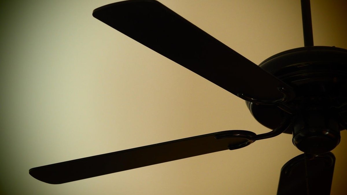 Ceiling Fan Installation Costs & Process: San Diego Electricians Map Out Numbers