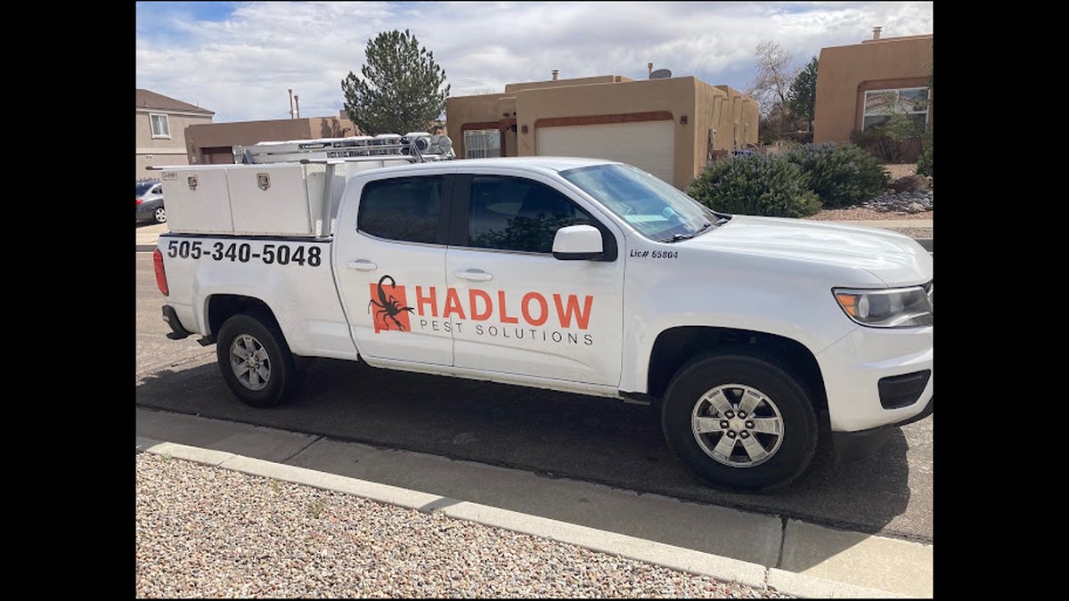 Desert Southwest Pest Control: Common Pests & Treatments Guide Released