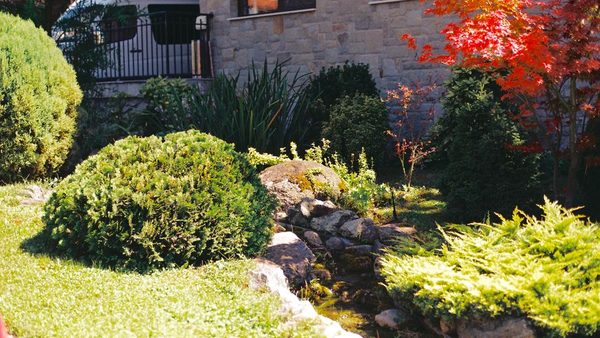 Houston Landscape Design with Drainage Installation & Plant Selection Updated