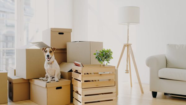 How To Make Moving Easier: Bay Area Expert Shares Timing Gap & Storage Solutions
