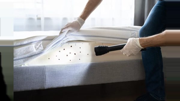 How to Tell If You Have Bed Bugs & What DC Pest Control Pros Recommend