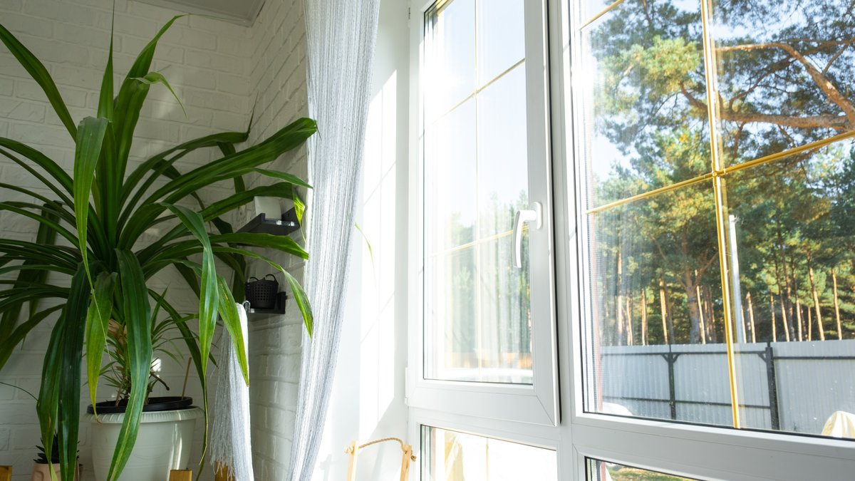 Impact Window Tinting: Best Glass Options for Your Home Revealed By Florida Pro