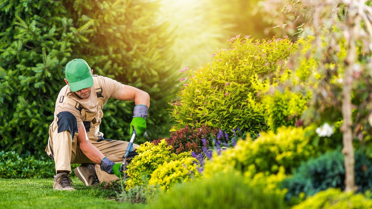 Landscape Business Marketing: Gap Analysis Plus Growth Plan Service Announced