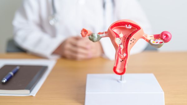 Lotus Endometriosis Institute Releases Guide On Missed Diagnosis Amid Care Gaps