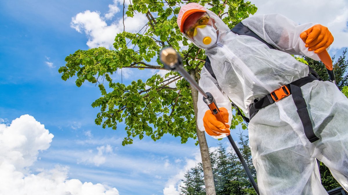 Same-Day Pest Control: NOVA Experts Reveal Costs, Treatments & Timeline Factors