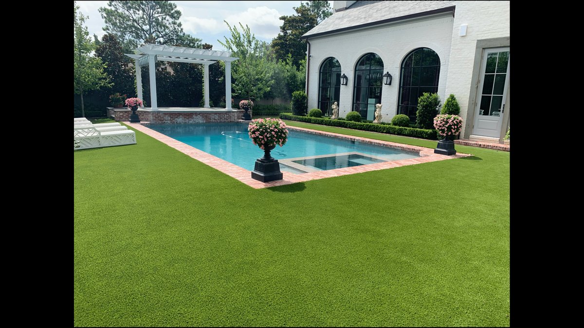 The Truth About Artificial Grass in the Bay Area