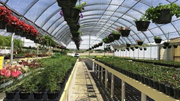 Big Spring Fall Vegetable Garden Planning & Soil Prep Support Announced