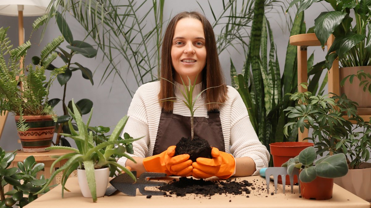 Brooklyn Plant Watering Services Report Released: Top Local Sitters & Costs