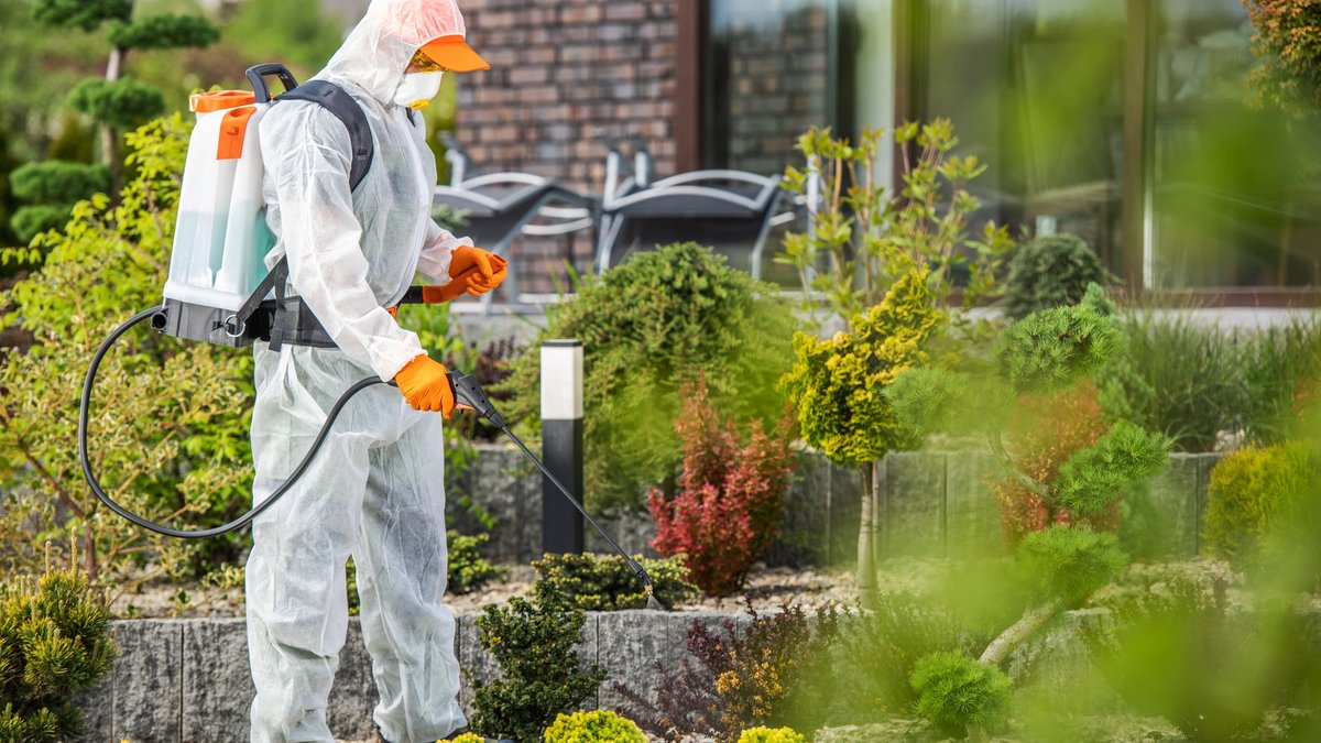 D.C. Preventative Commercial Pest Control For Businesses: Services Expanded