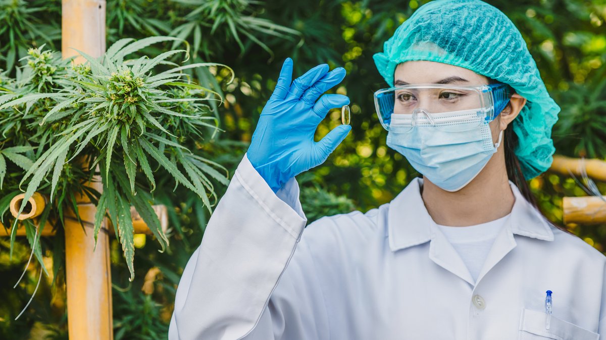 EU GMP Requirements for Medical Cannabis: A Guide to Compliant Facility Design