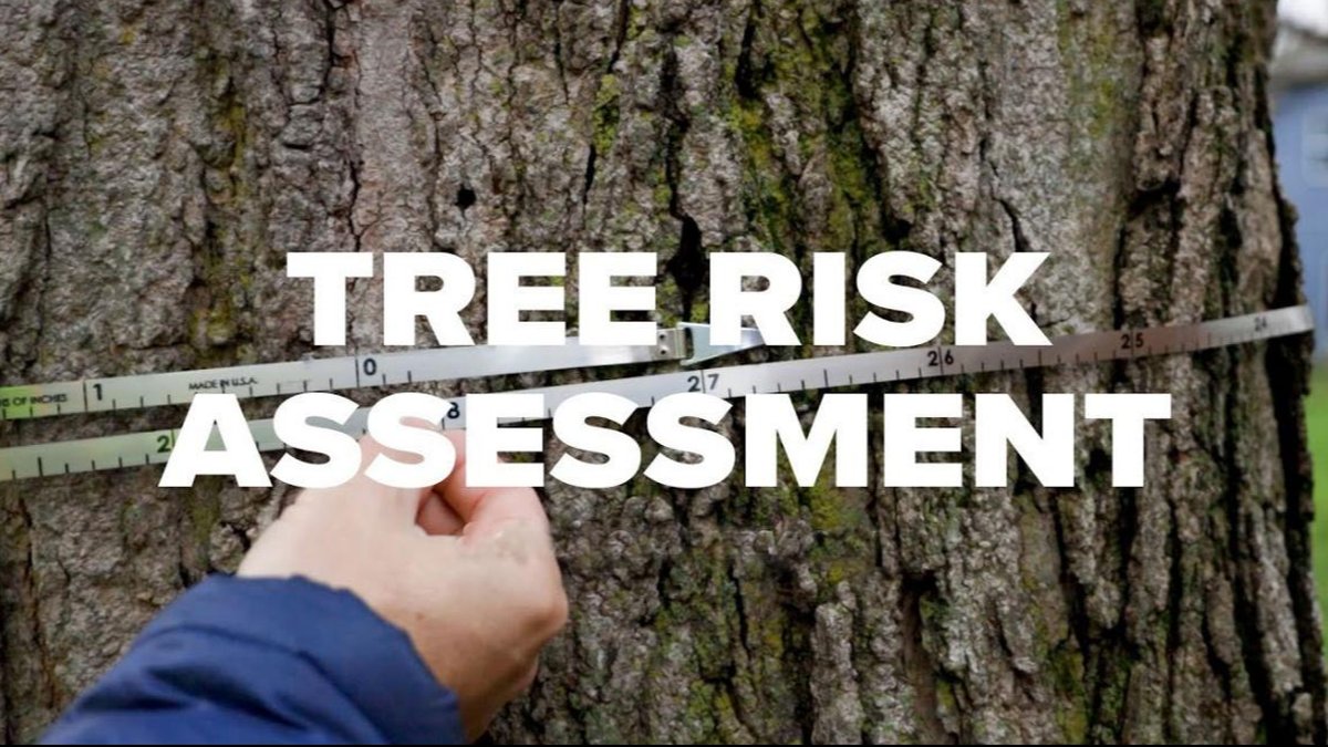 Houston Hazardous Tree Evaluation Using TRAQ Standards: Services Announced