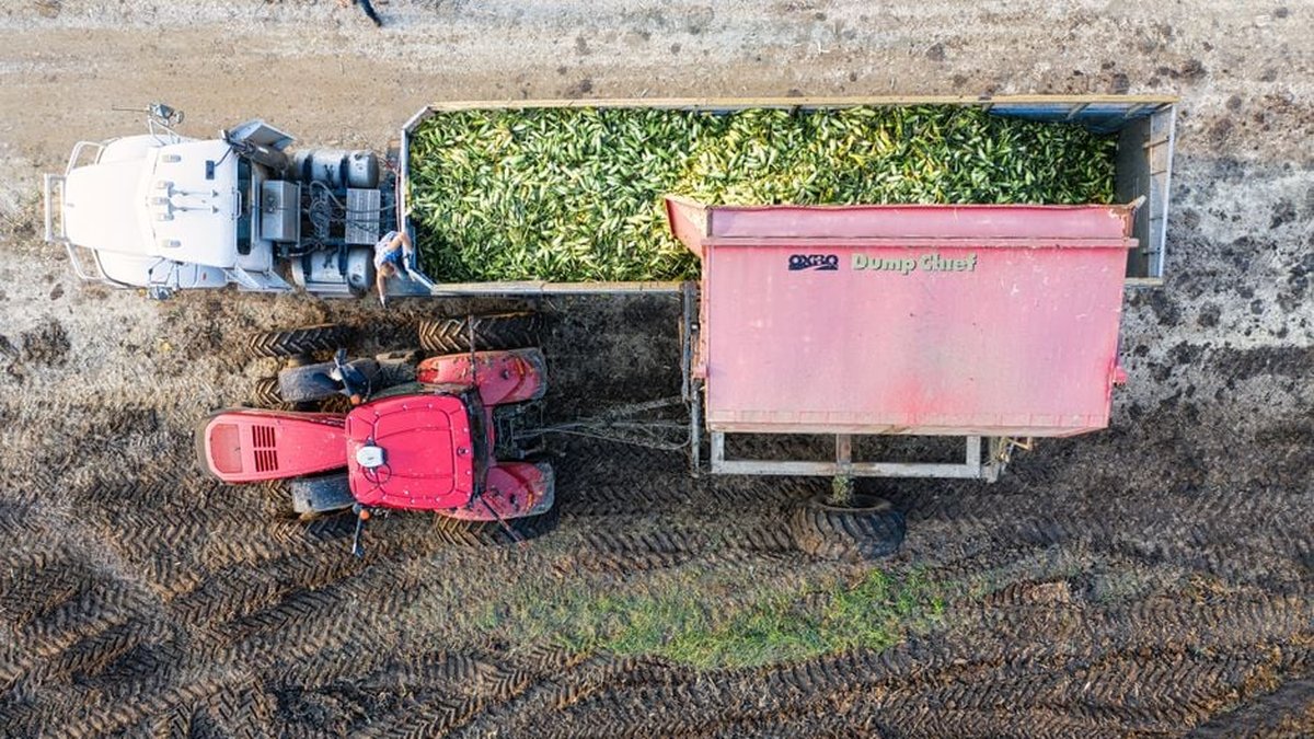 Load Trail vs. Texas Pride Dump Trailers: Specs, Price & Reviews