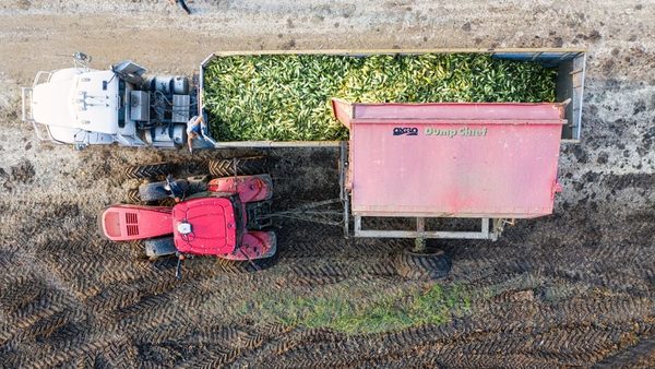 Load Trail vs. Texas Pride Dump Trailers: Specs, Price & Reviews