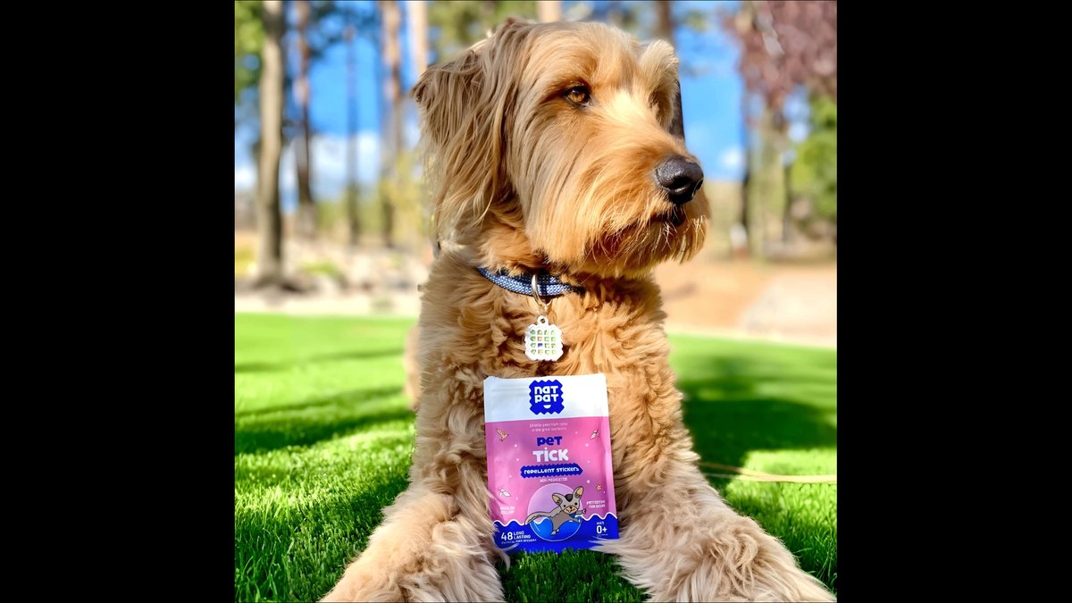 Natural Tick Prevention for Dogs: Repellent Stickers & Pet Lockets Announced