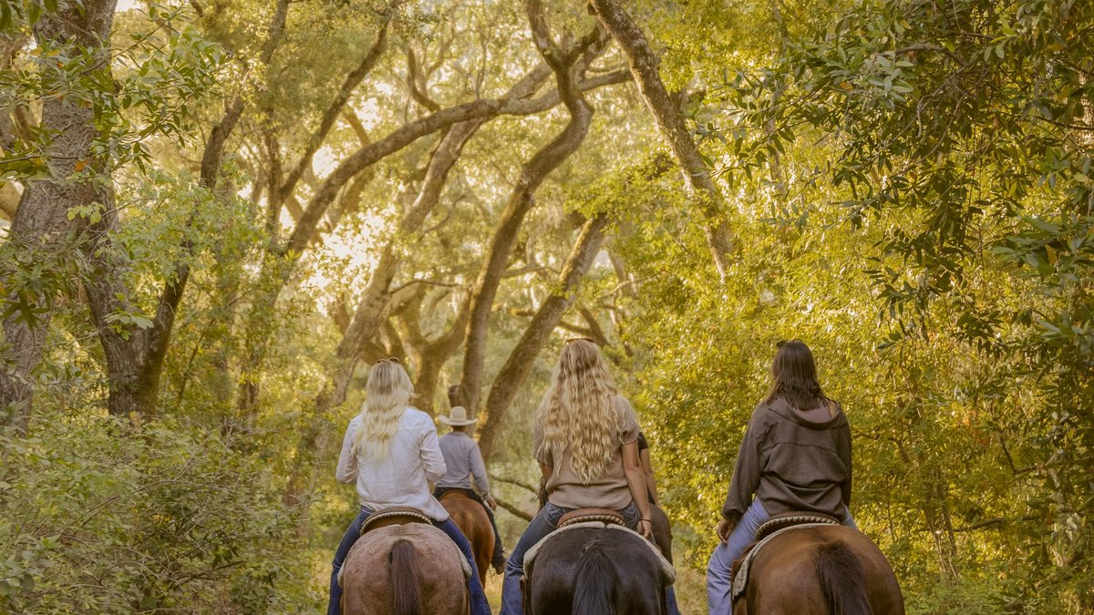 The Absolute Best Horseback Riding Experience in Paso Robles