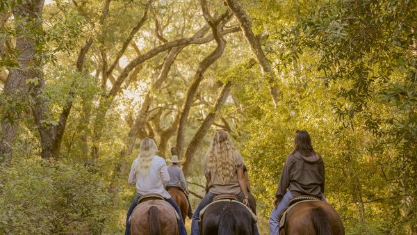 The Absolute Best Horseback Riding Experience in Paso Robles