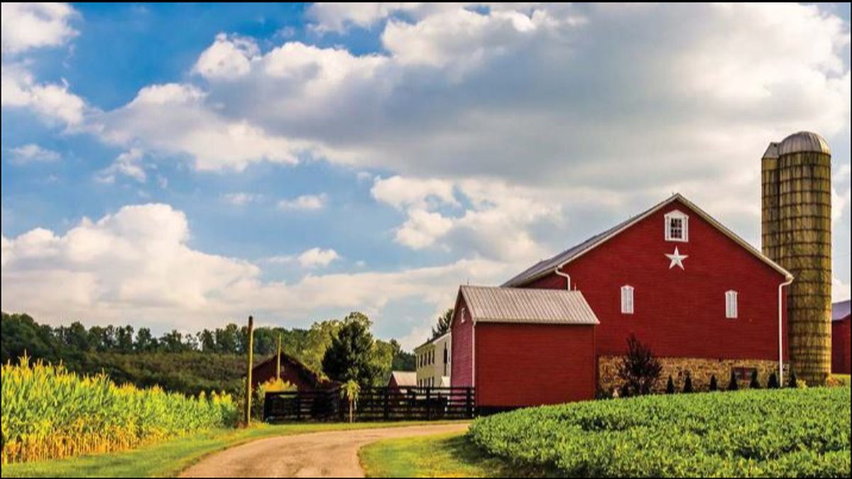 Toni Reinhart Unveils Specialized Marketing Strategies for PA Farmland
