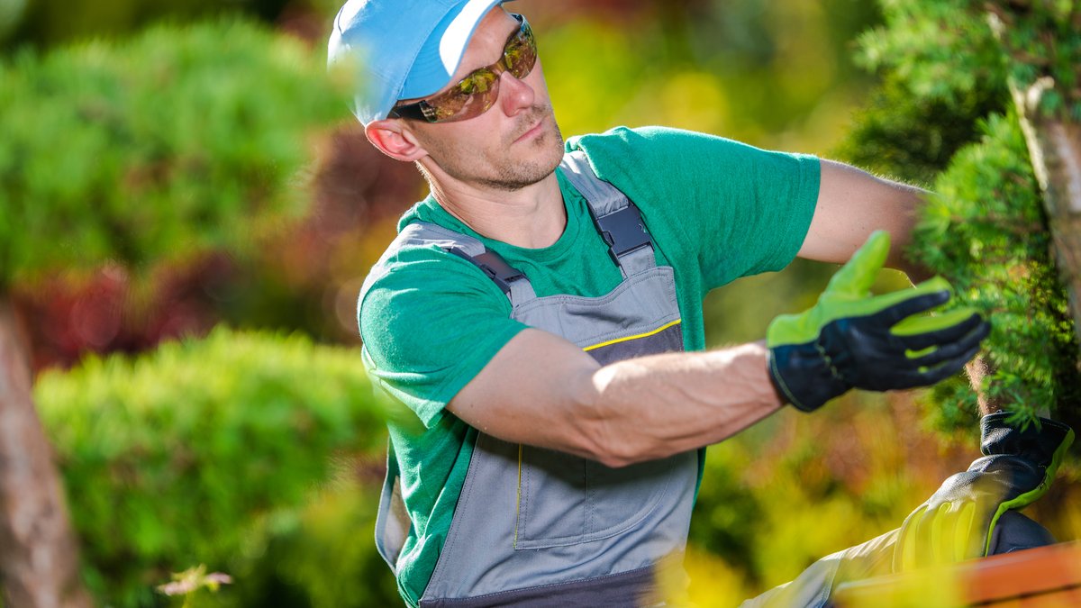 Content Marketing for Landscaping Businesses: AI Visibility Strategy Announced