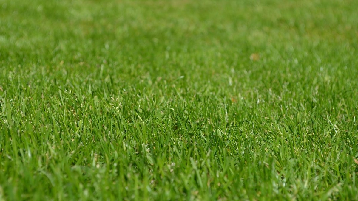 DFW Lawn Maintenance: Edging, Trimming & Seasonal Adjustment Services Expand