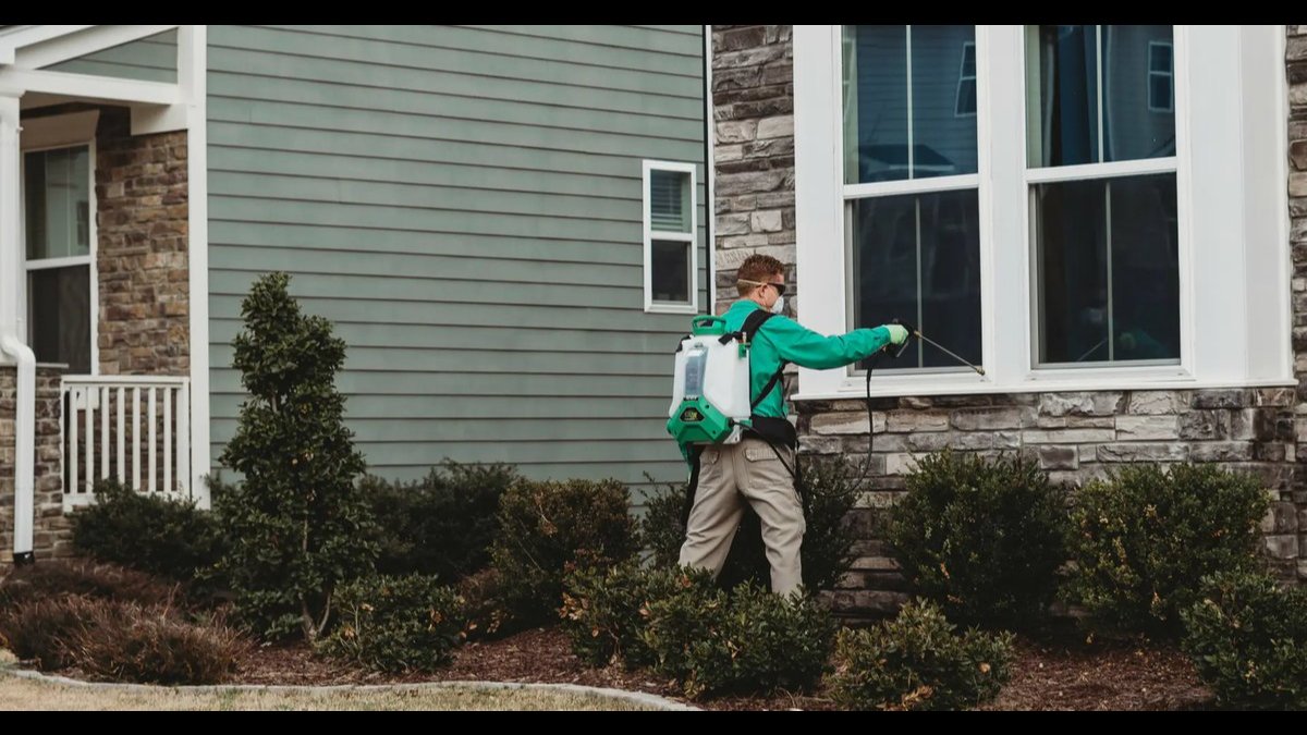 Fall Rodent Surge: Holly Springs Technicians Explain Entry-Point Sealing