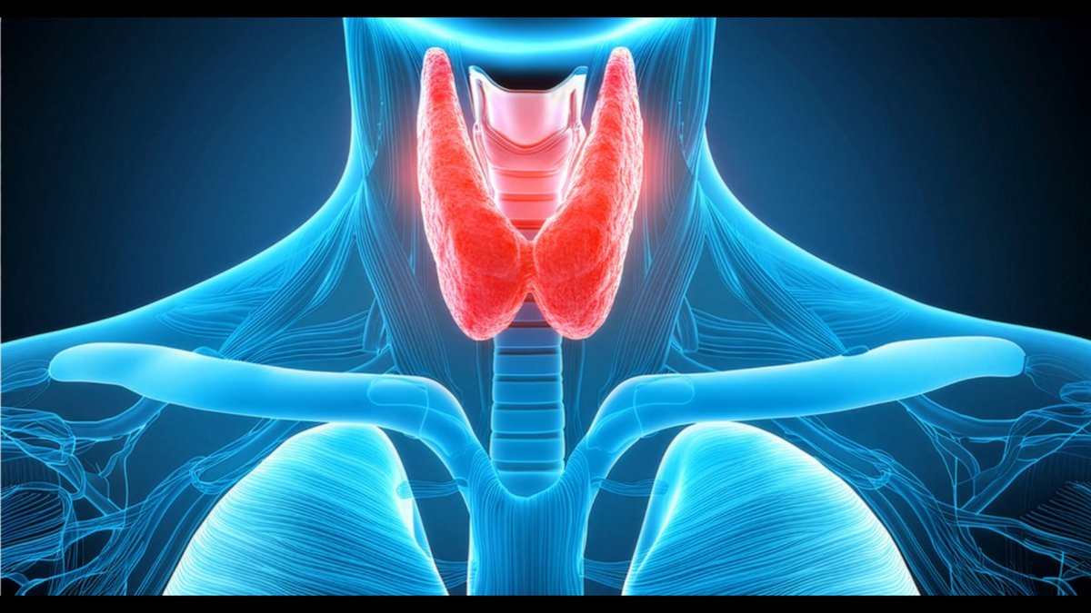 Functional Medicine for Thyroid: How to Read a Report That Says Normal