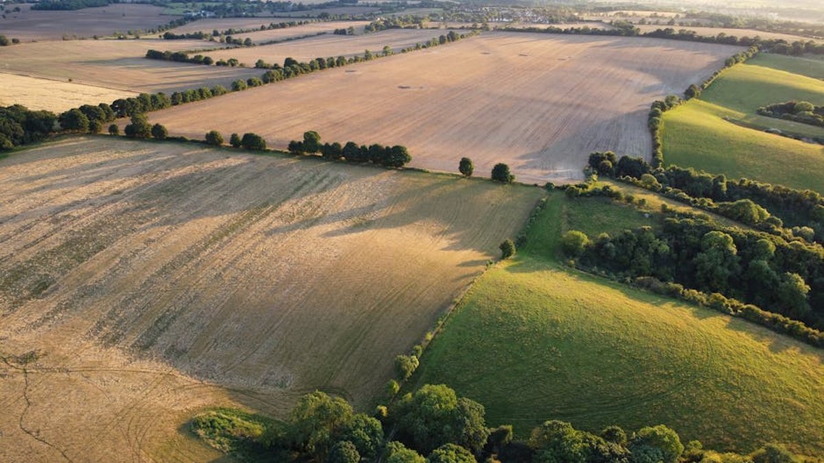 How Can a Foreclosure Be Stopped or Prevented? A Guide for Land Owners