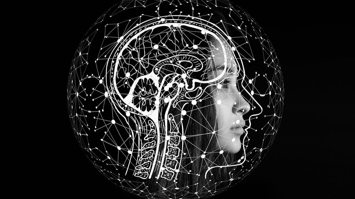 How Do Real Estate Agents Use AI? NOVA Experts Explain AI Operating Systems