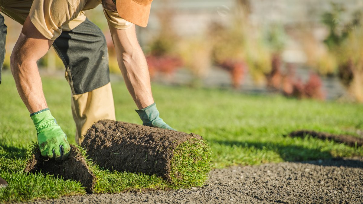 How to Optimize a Google Business Profile: What Landscapers Need to Know in 2026