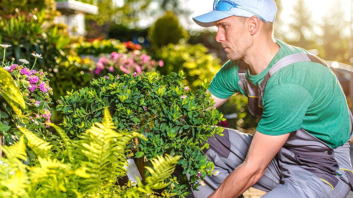How to Optimize Your Content for AI Search: Tips for Landscaping Companies