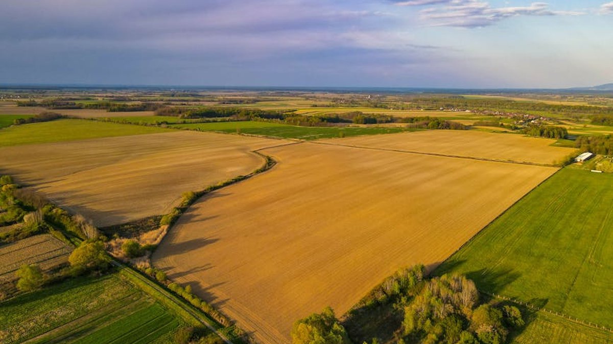 How To Sell Land From Out Of State: OK Experts Offer Tips For Remote Sales