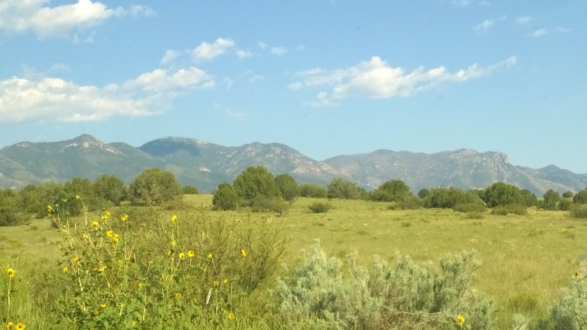How To Sell Land In Poor Condition For Cash: What Buyers Are Really Looking For