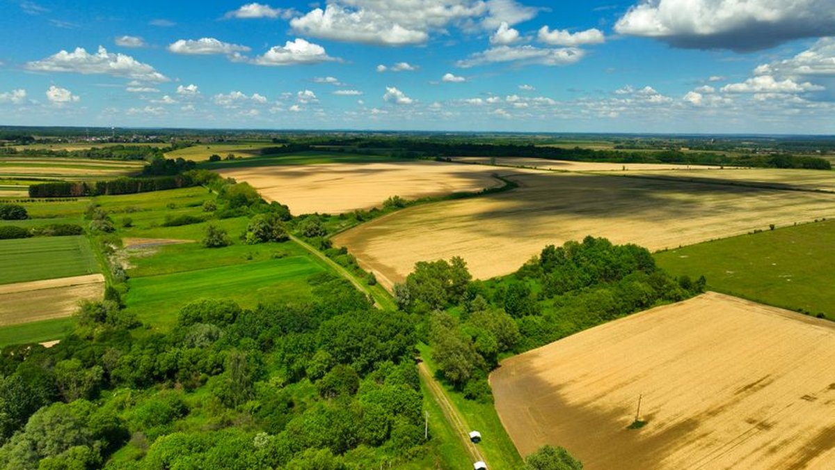 How To Sell Land Quickly: A US Southwest Guide To Pricing & Finding Buyers