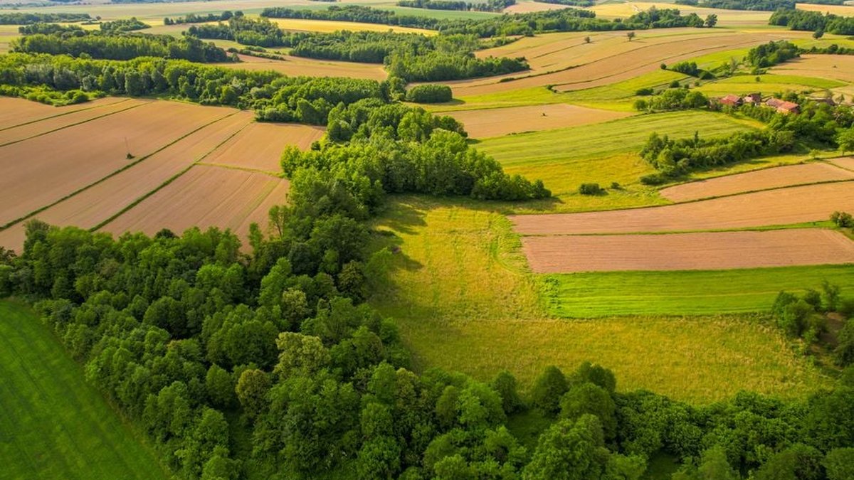 How To Sell Rural Land: Top 3 Options Explained By Experts