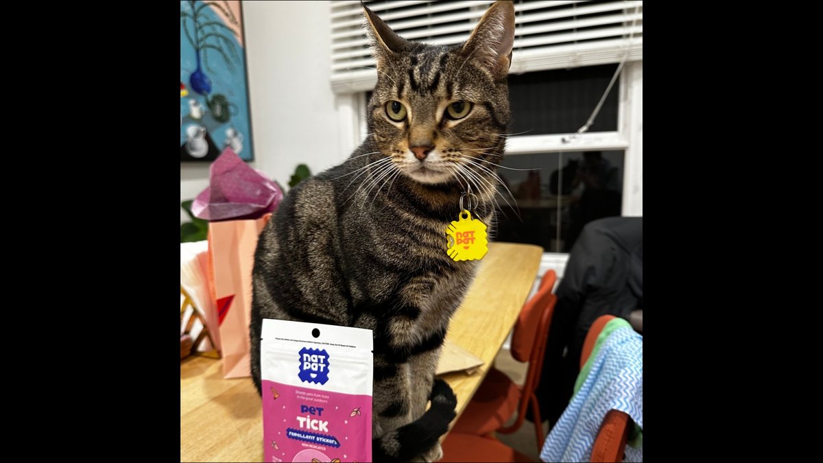 Natural Tick Repellent Stickers For Cats With Essential Oils: Kit Announced