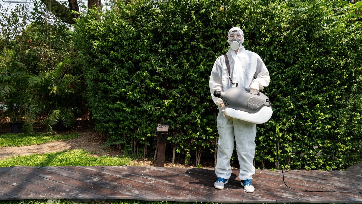 Pest Control Springfield, VA: Prices & Best Options