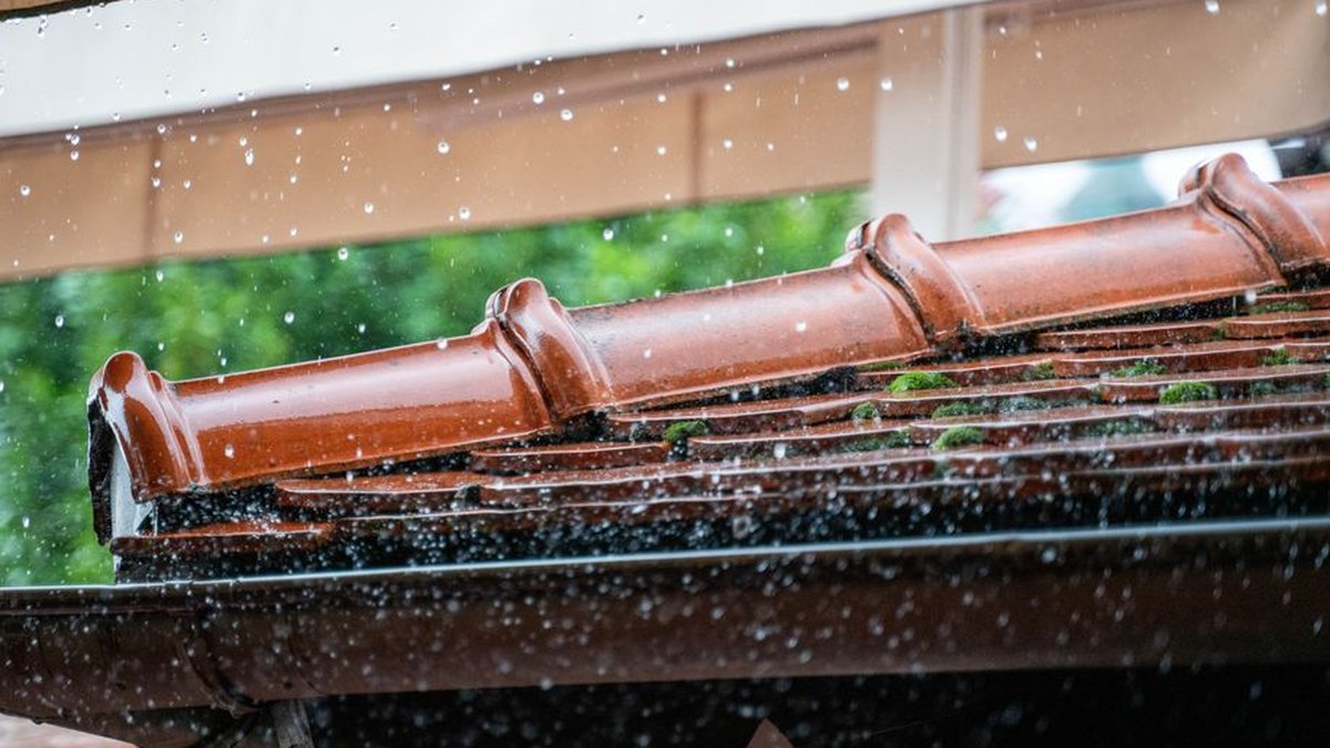 Roof Inspection Frequency in Florida: Pensacola Team Maps Out Storm Prep