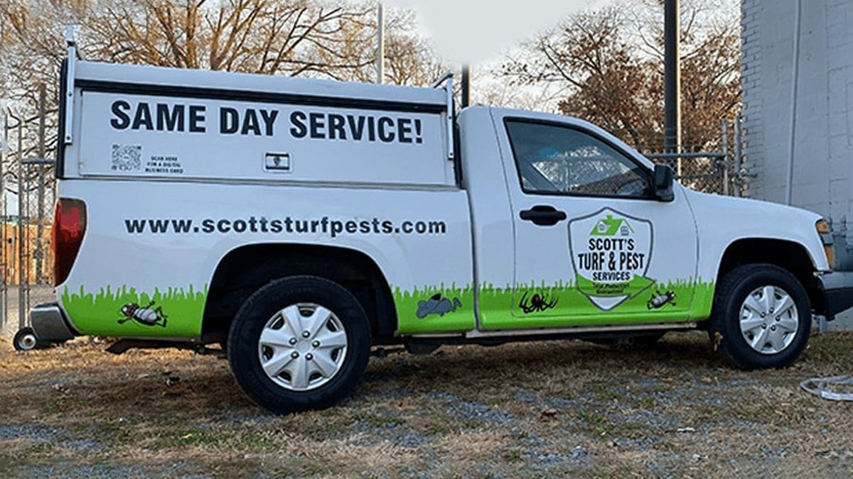 Seasonal Pest Patterns: When Alamance County Homeowners Need Same-Day Help
