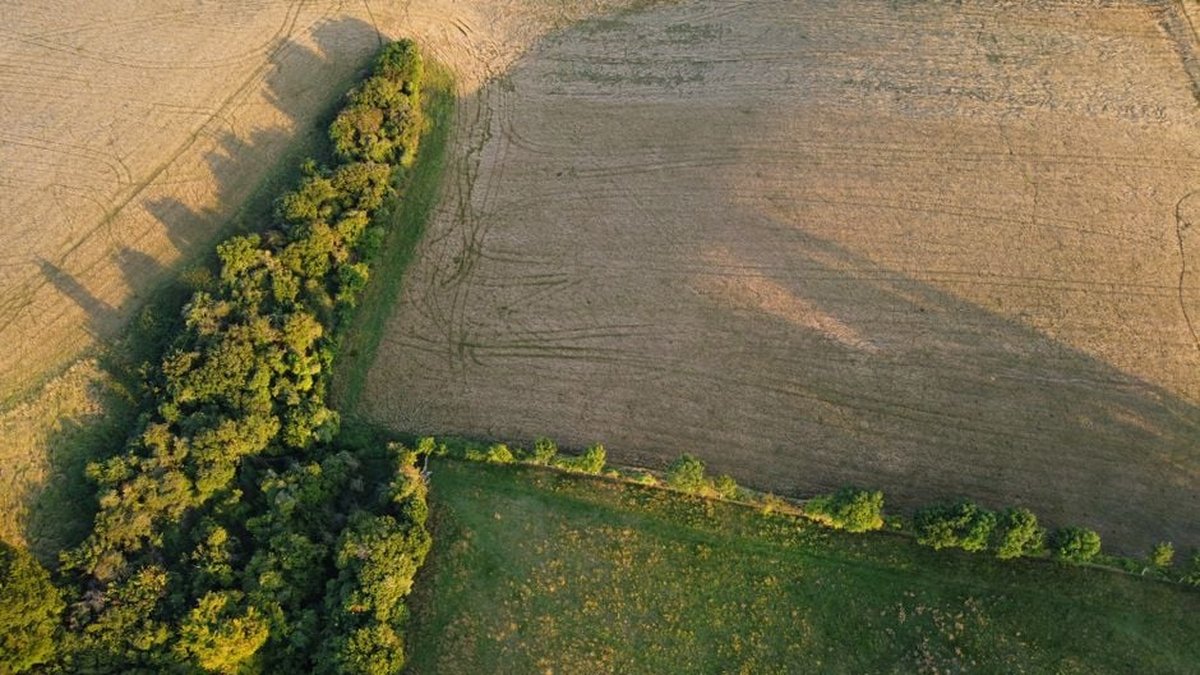 Selling Inherited Land: A Complete Guide to Ohio Probate, Taxes & Next Steps
